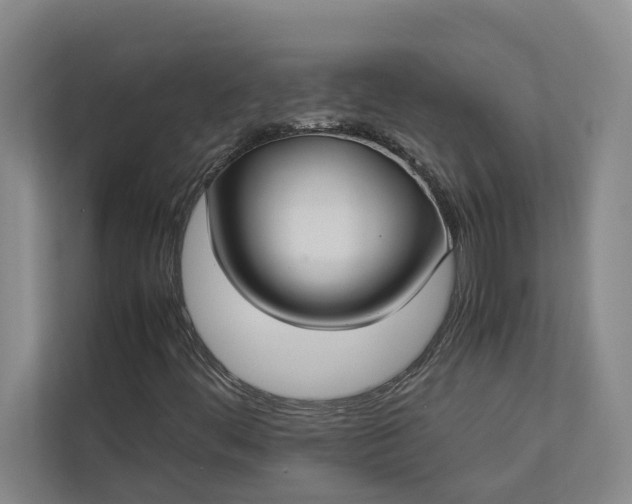 X0000112831444200909041453