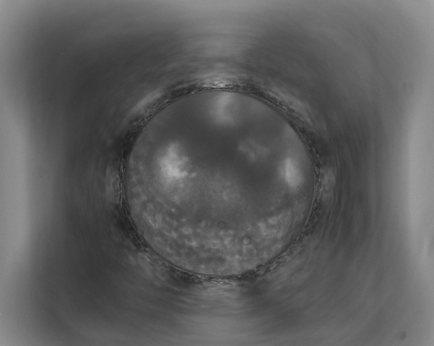 X0000112831446200909041453