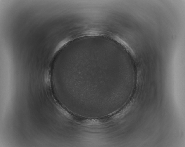 X0000112831450200909041453