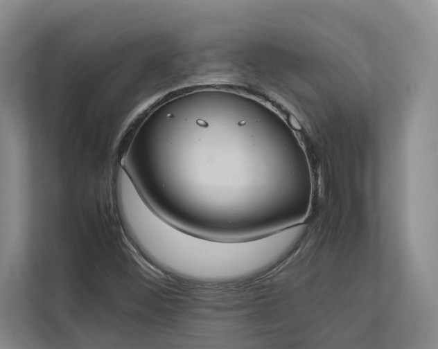 X0000112831452200909041453