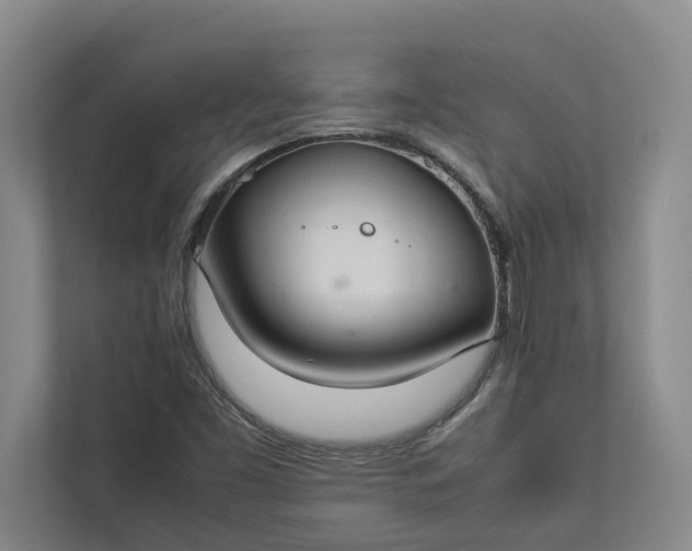 X0000112831453200909041453