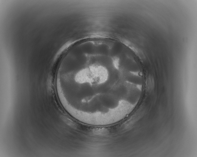 X0000112831454200909041453