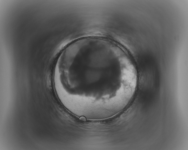 X0000112831455200909041453