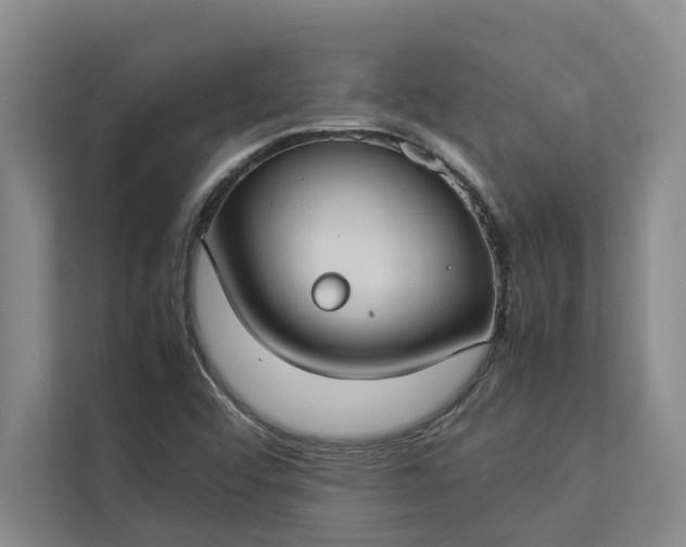 X0000112831456200909041453