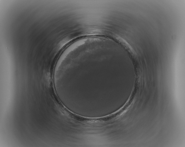 X0000112831457200909041453