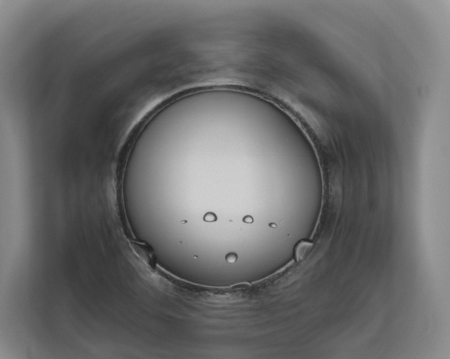 X0000112831460200909041453