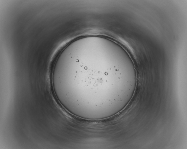 X0000112831464200909041453