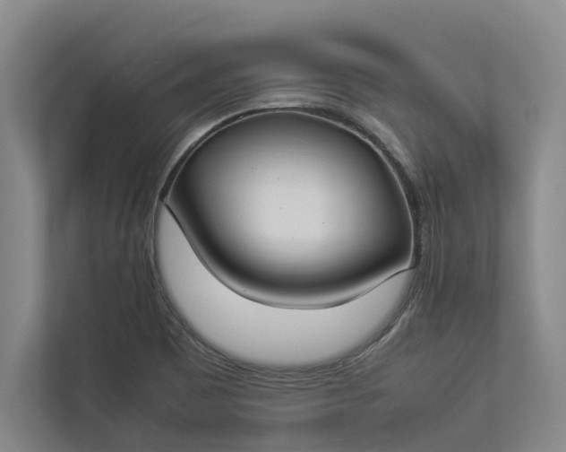 X0000112831465200909041453