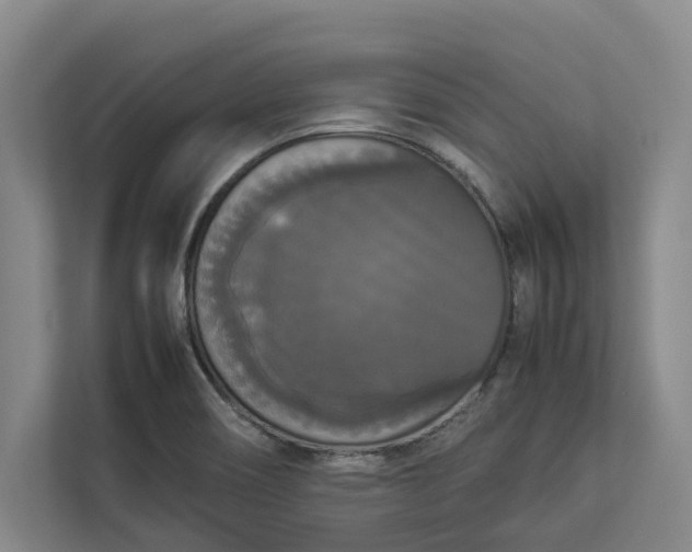 X0000112831466200909041453