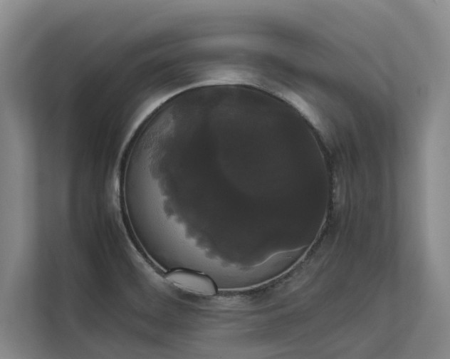 X0000112831468200909041453