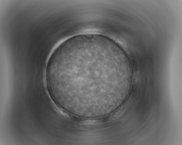 X0000112831470200909041453