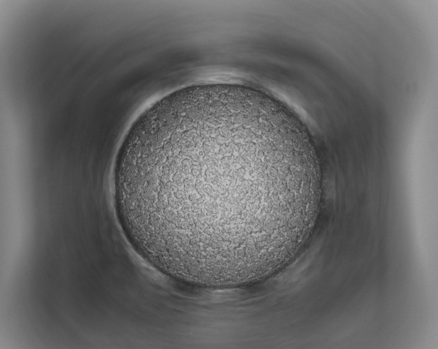 X0000112831471200909041453