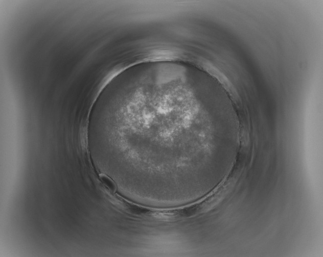 X0000112831473200909041453