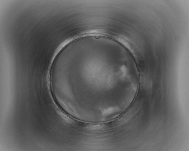 X0000112831474200909041453