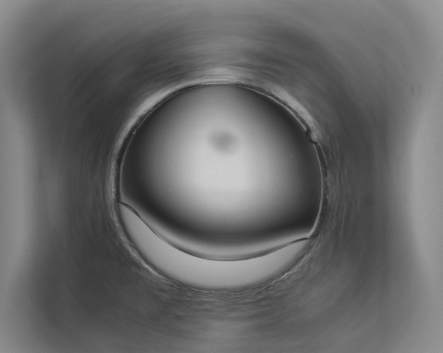 X0000112831477200909041453