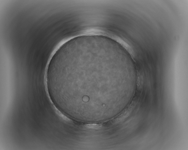 X0000112831478200909041453