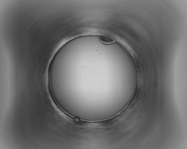 X0000112831479200909041453