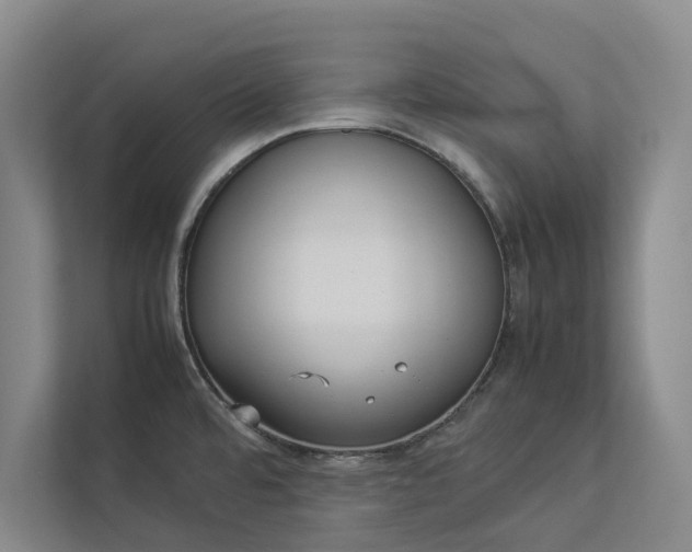 X0000112831480200909041453