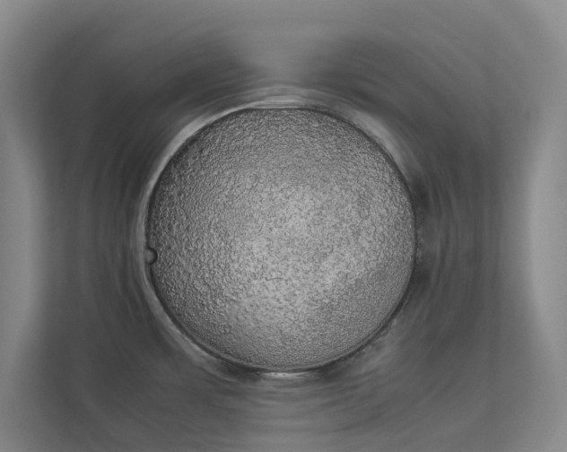 X0000112831483200909041453