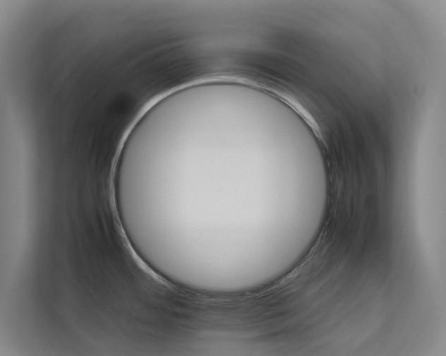 X0000112831484200909041453