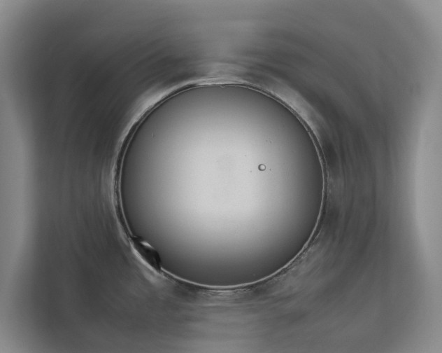 X0000112831485200909041453