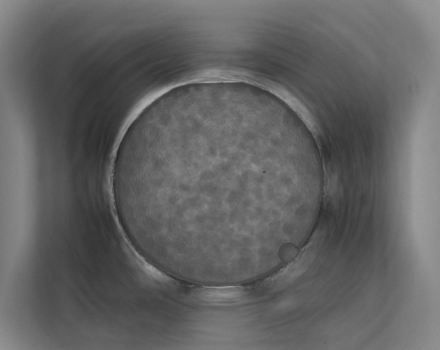 X0000112831486200909041452