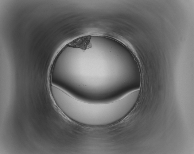 X0000112831488200909041452