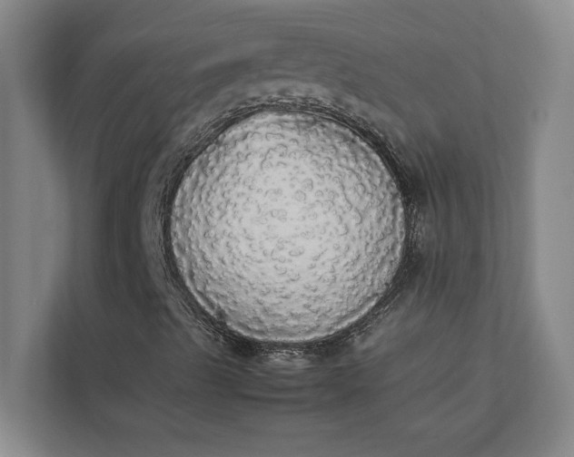 X0000112831489200909041452