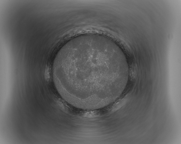 X0000112831490200909041452