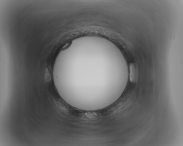 X0000112831491200909041452