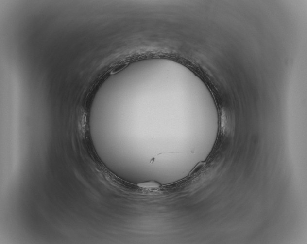 X0000112831492200909041452