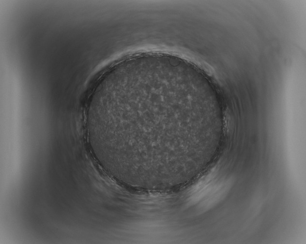 X0000112831494200909041452