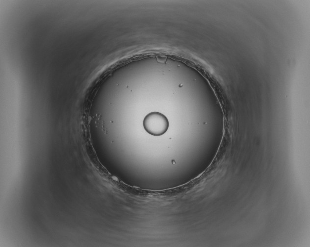 X0000112831496200909041452