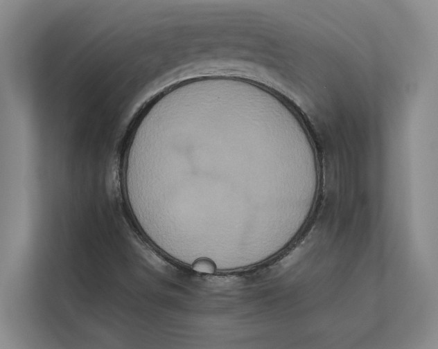 X0000112831498200909041452