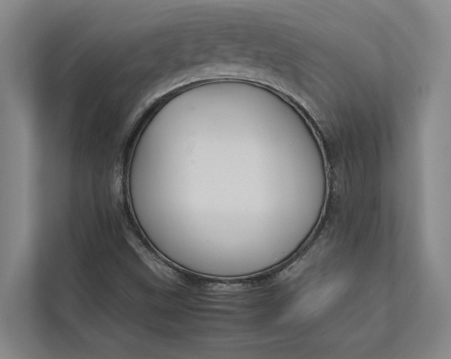 X0000112831499200909041452