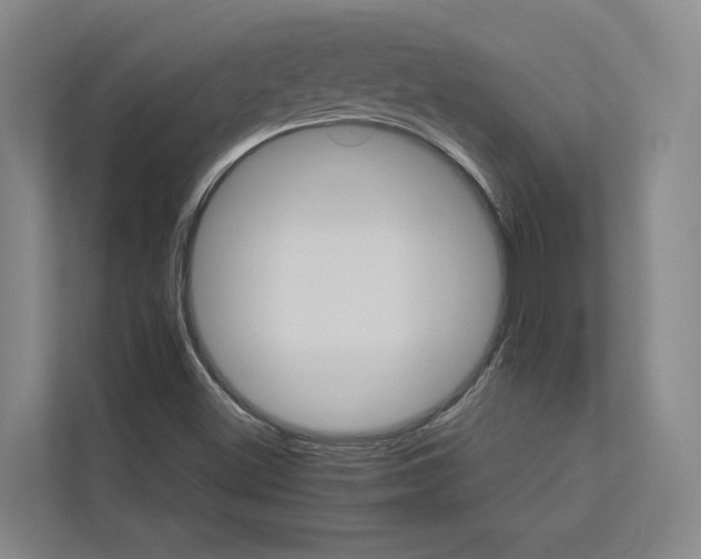 X0000112831500200909041452