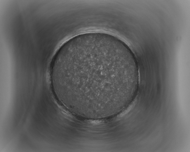 X0000112831501200909041452