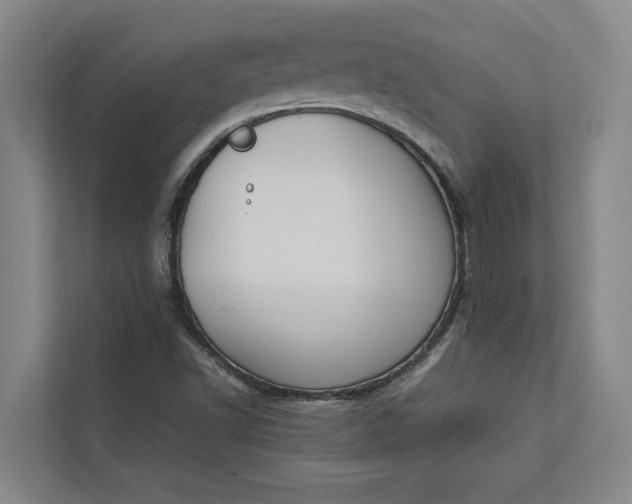 X0000112831502200909041452