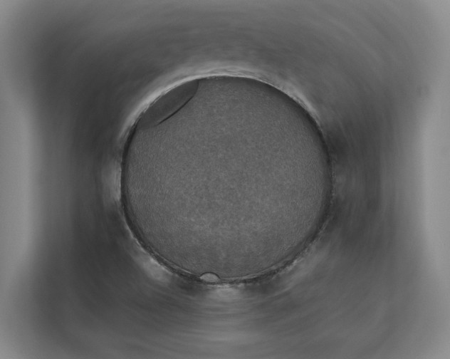 X0000112831504200909041452