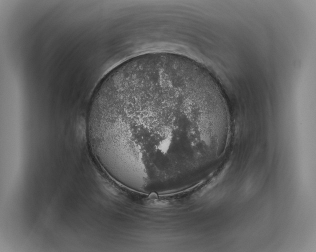 X0000112831505200909041452