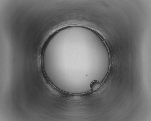 X0000112831507200909041452