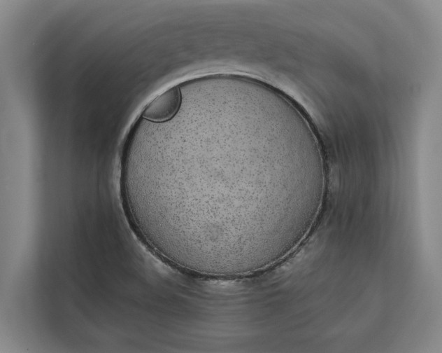 X0000112831508200909041452