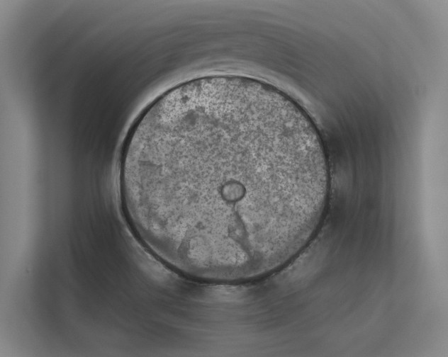 X0000112831514200909041452