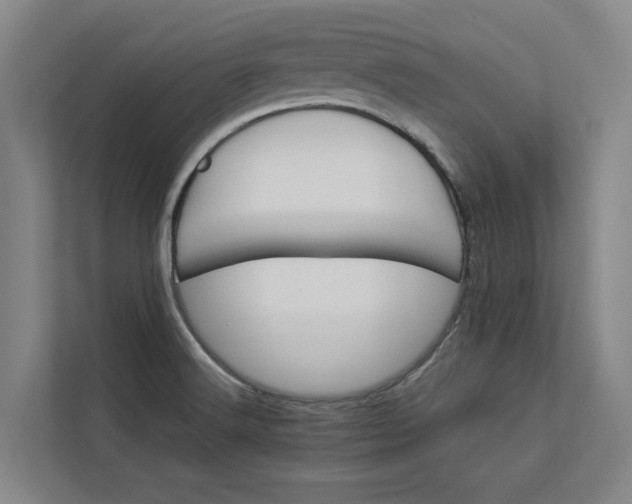 X0000112831516200909041452