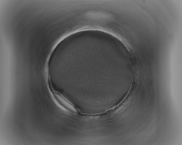 X0000112831519200909041452