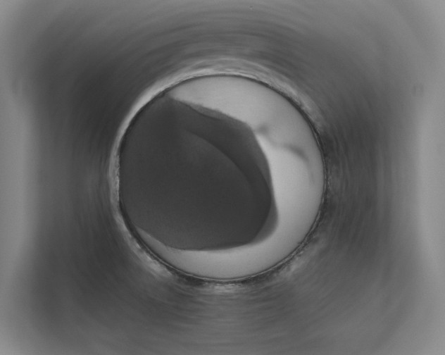 X0000112831522200909041452