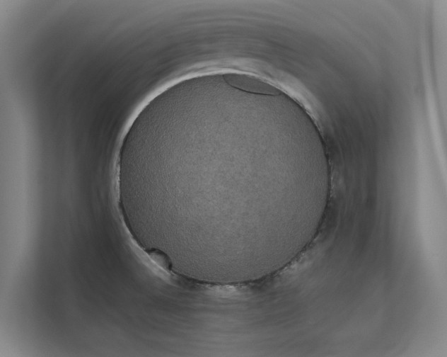 X0000112831524200909041452