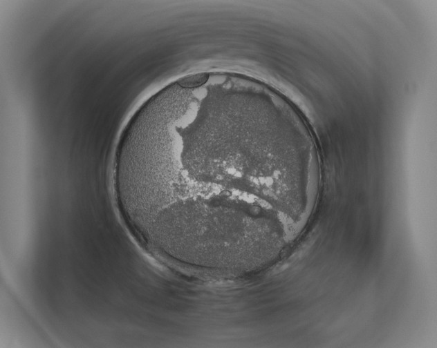 X0000112831525200909041452