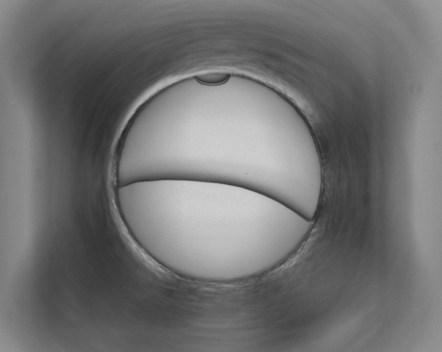 X0000112831526200909041452