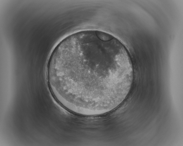 X0000112831527200909041452